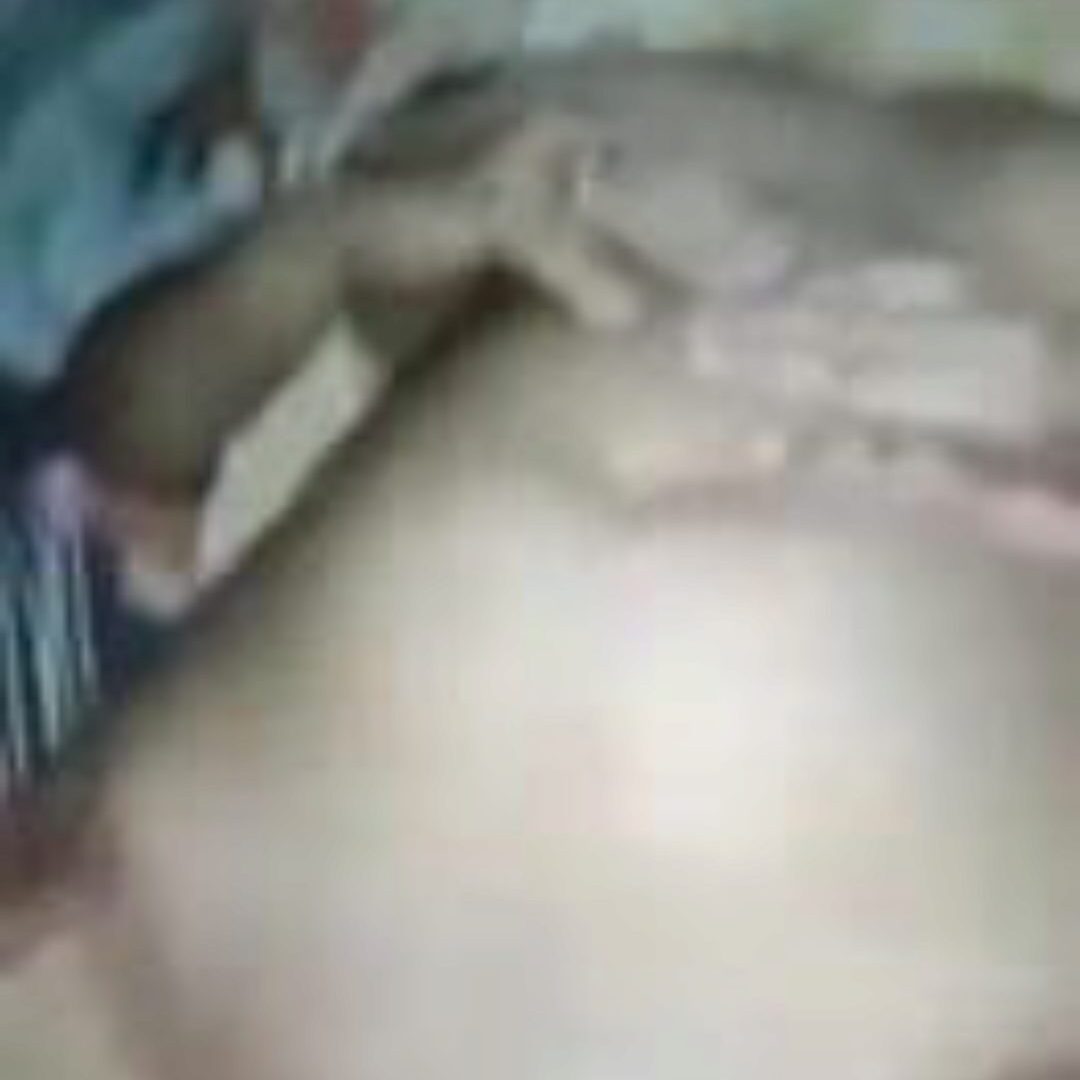 Bangladeshi Sex Video bilde