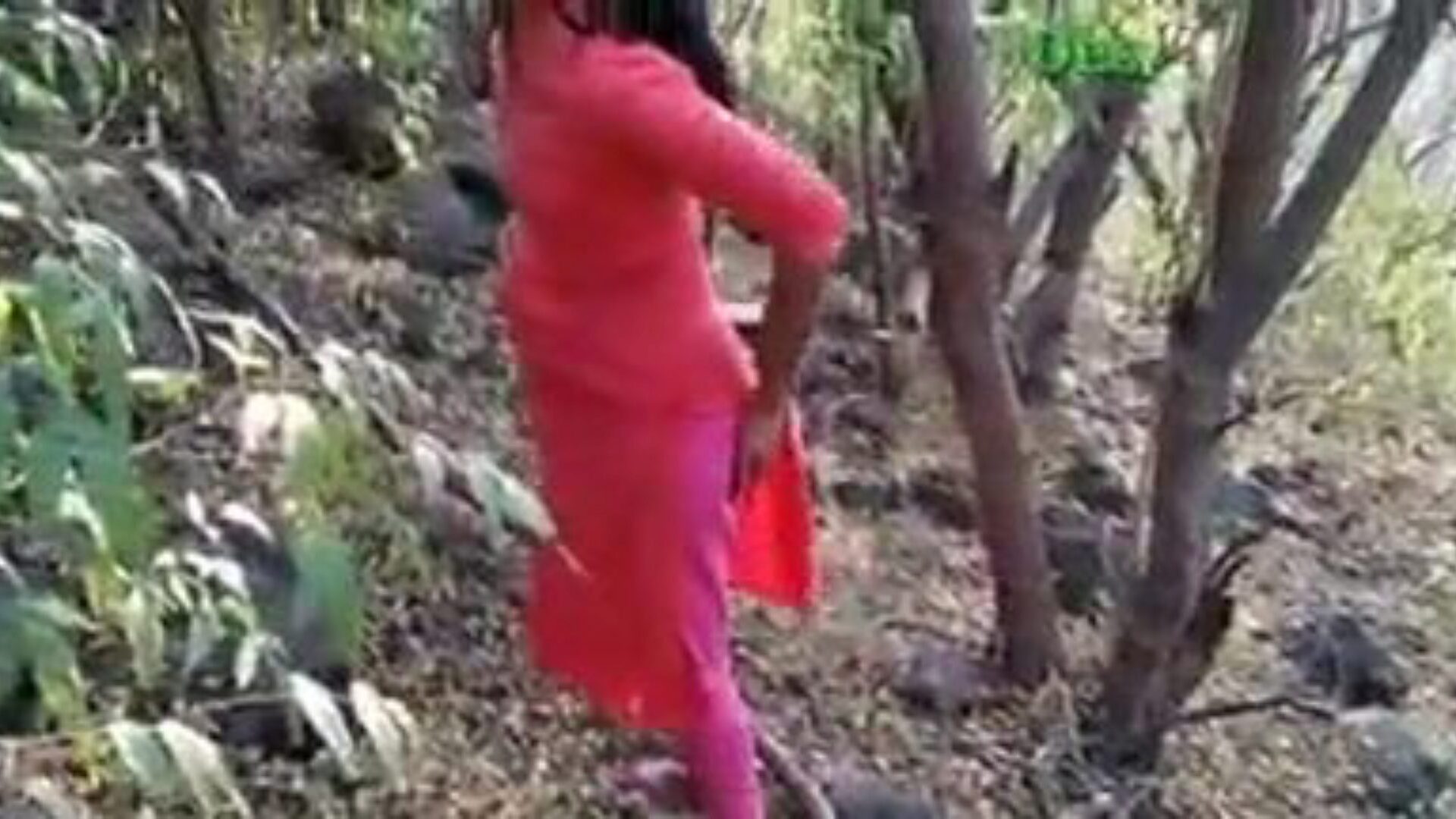 girlfriend hindi sexy video
