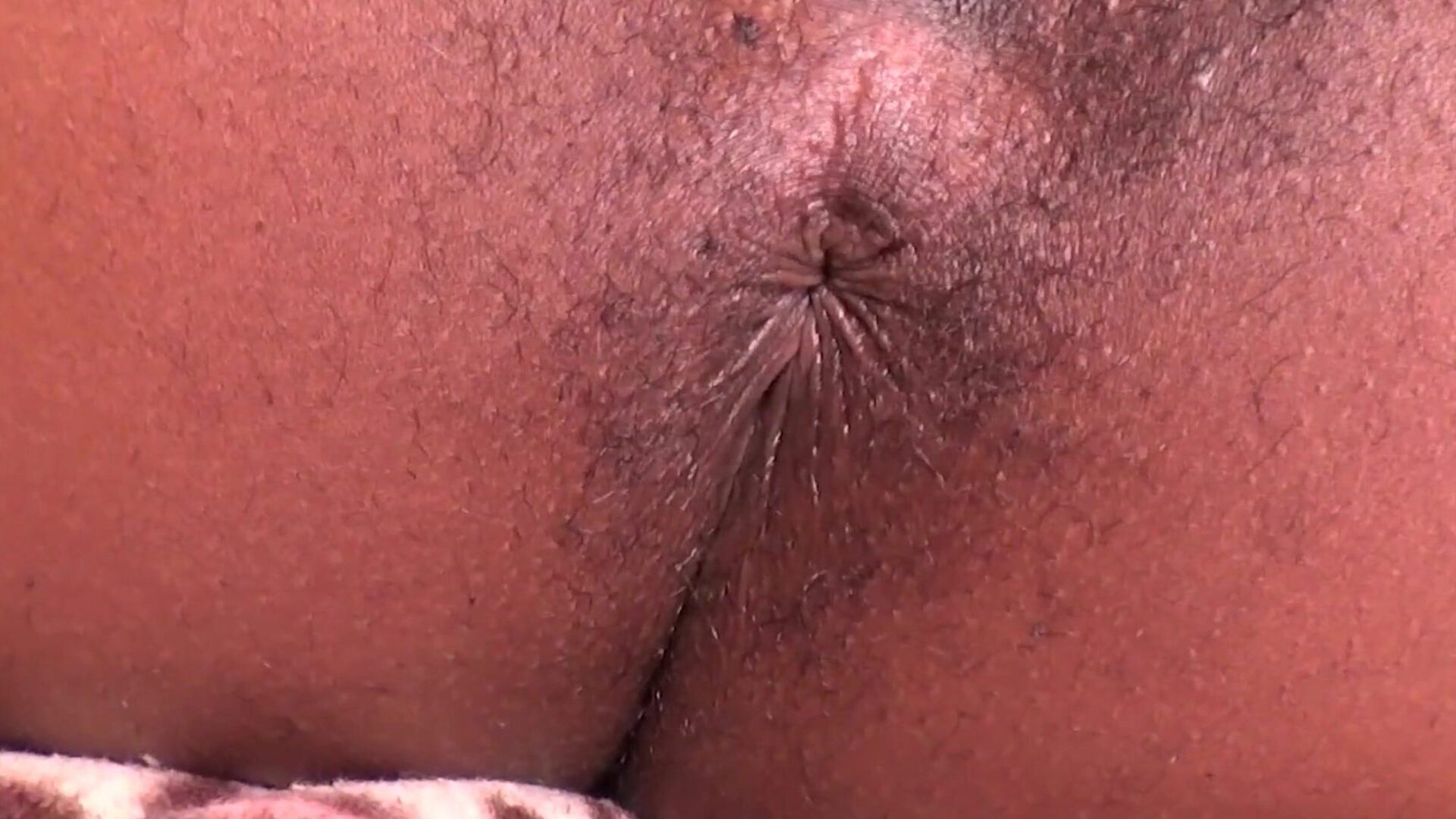 Close Up Fat Hairy Asshole Black Butt Hole Wink, Sheisnovember Spread Eagle Vagina With Thick Thighs And Legs Apart Aug 13th 2021