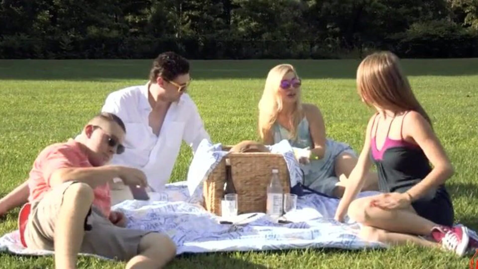 rodinný piknik část 1 (moderní tabuizovaná rodina)