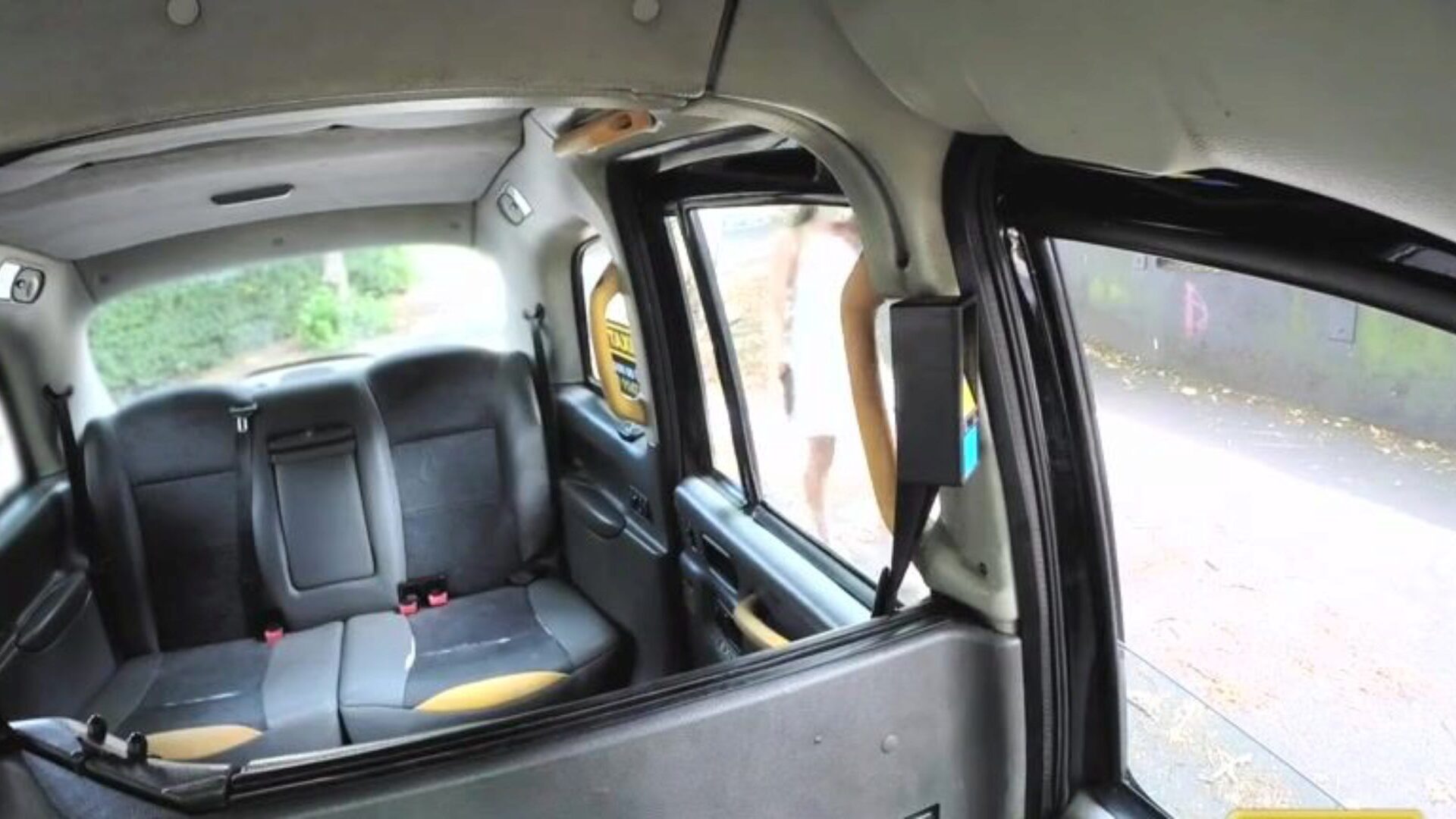 Fake Taxi Sexually Excited yielding American playgirl.mp4