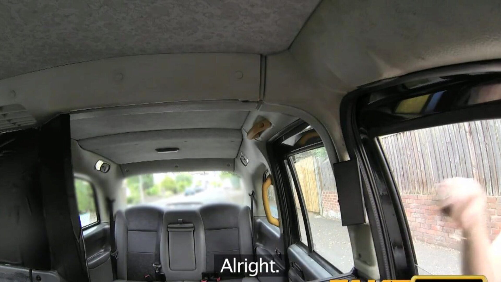 FakeTaxi Sassy Romanian with ideal bumpers