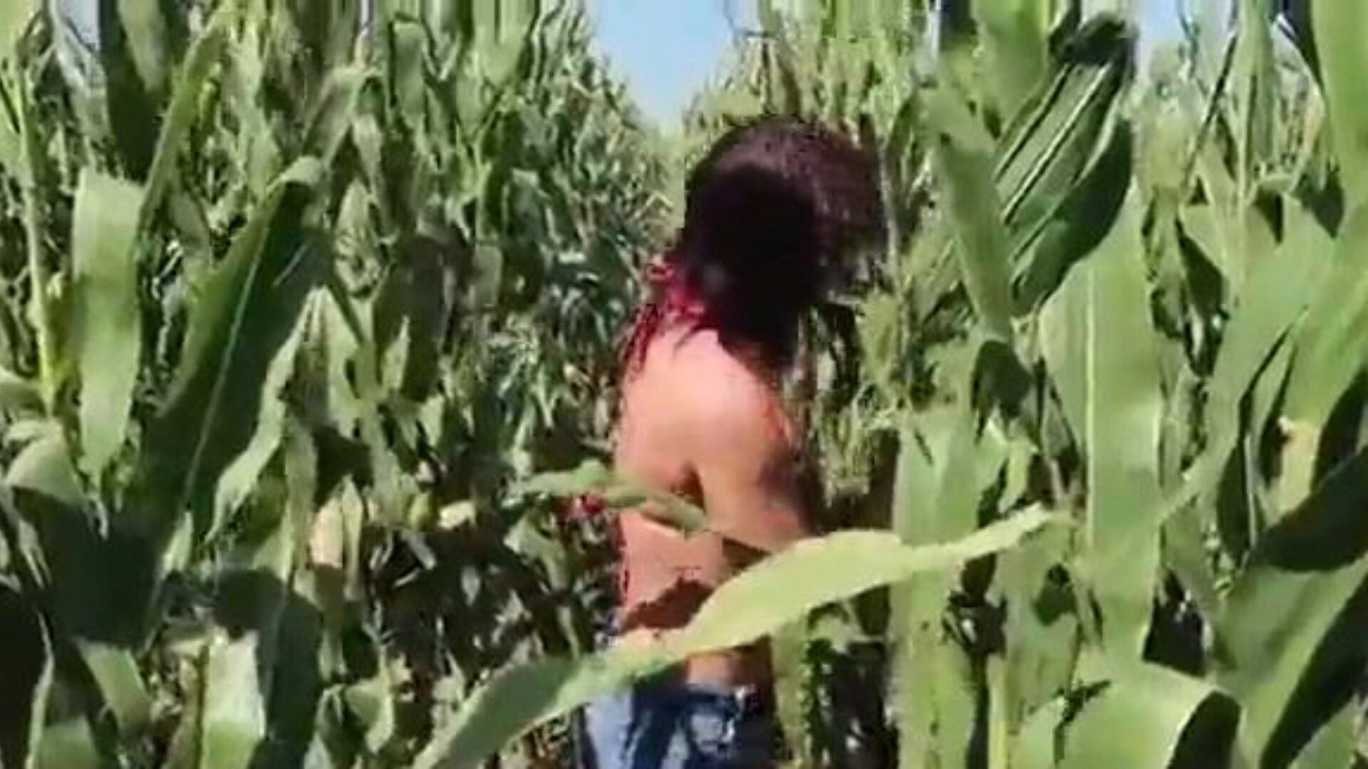 Riley Jacobs checking corn - PREVIEW