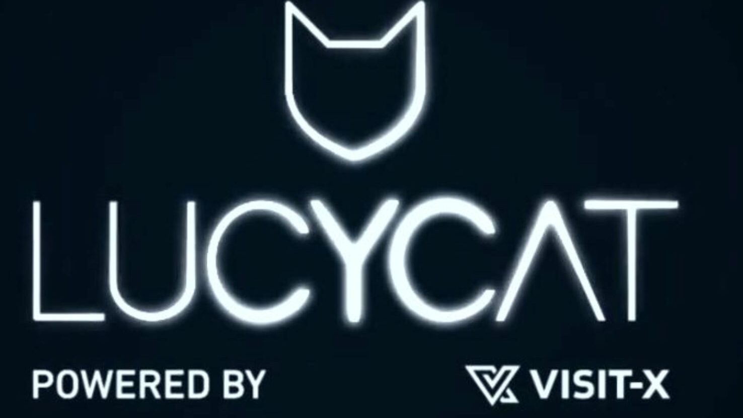 interaktive wichs udfordring - Lucy Cat