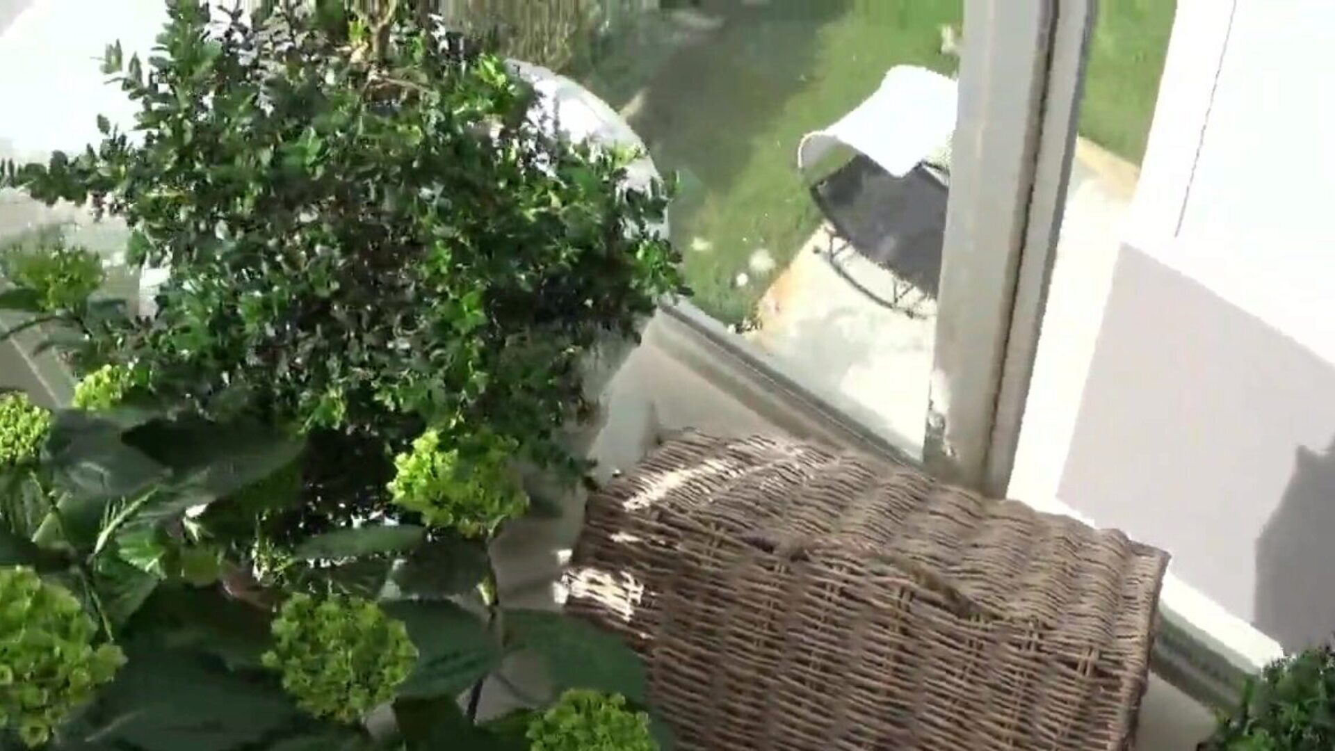 beim Schnüffeln an der Tochter meines Nachbarn erwischt, die auf ihrem Balkon abläuft